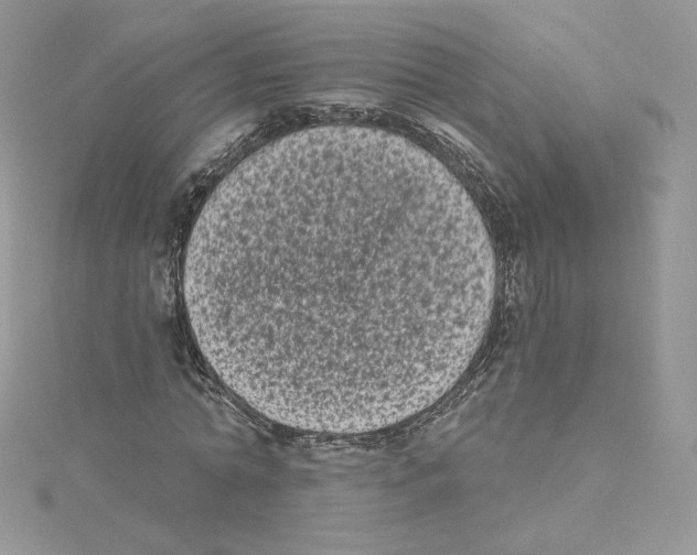 X0000114520774200911161315