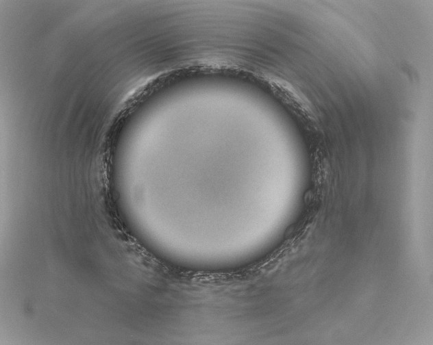 X0000114520776200911161315