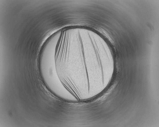 X0000114520781200911161315