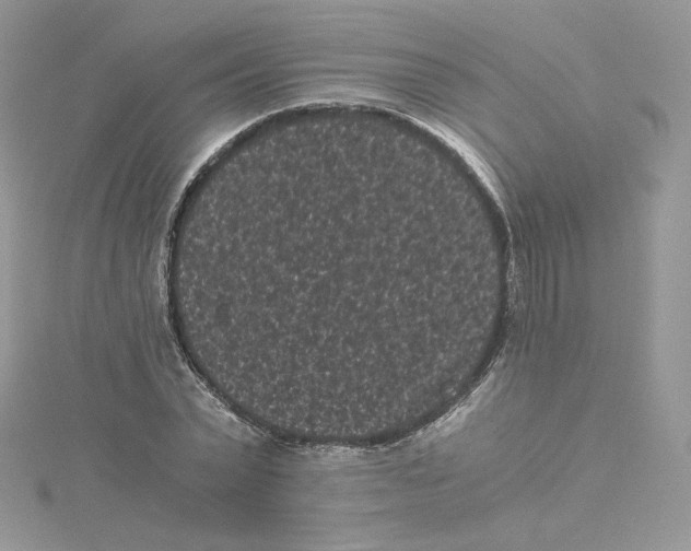 X0000114520783200911161315