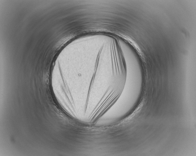 X0000114520785200911161315