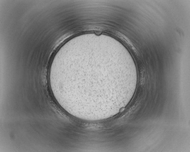 X0000114520786200911161315