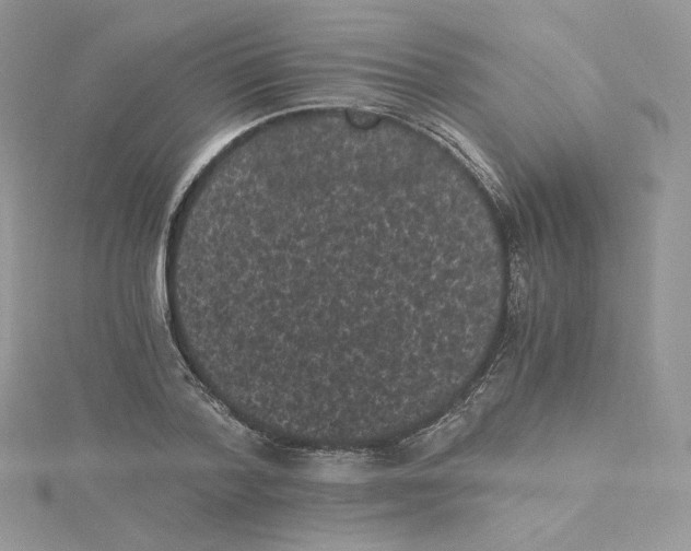 X0000114520788200911161315