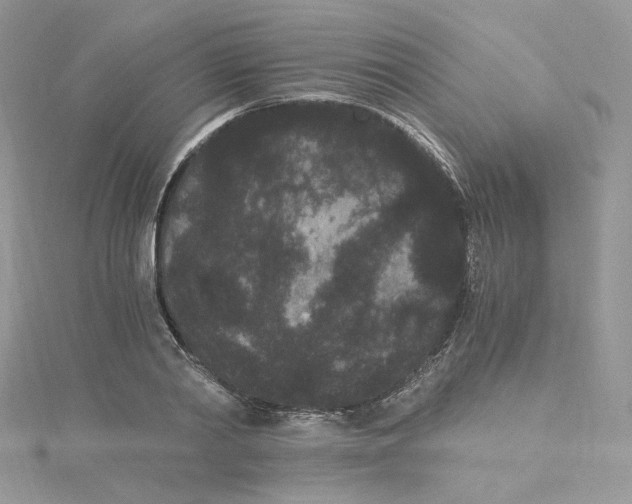 X0000114520790200911161315