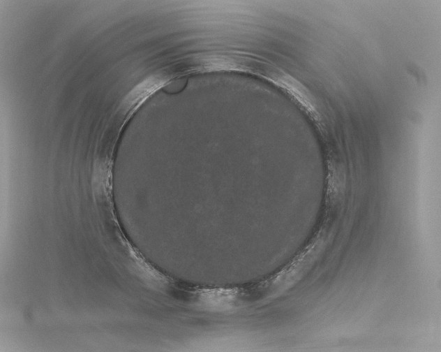 X0000114520793200911161315