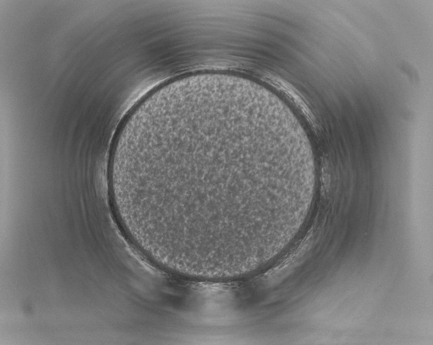 X0000114520794200911161315