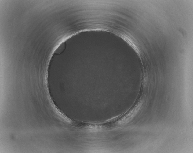 X0000114520797200911161315