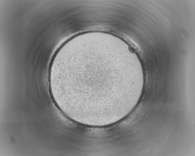 X0000114520800200911161315