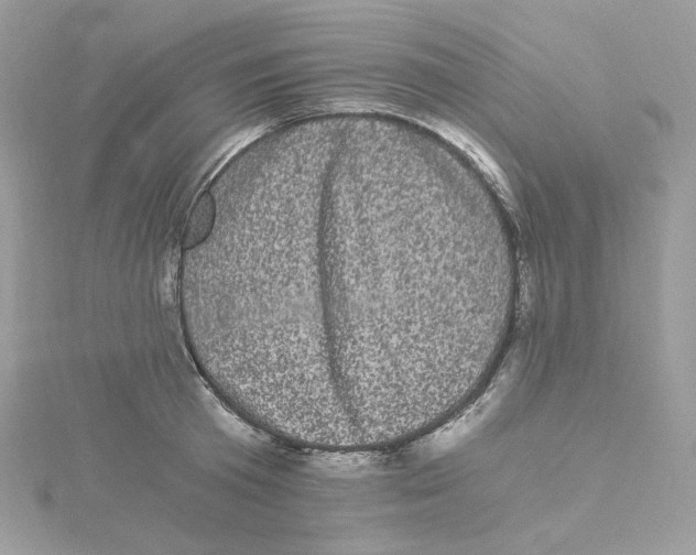 X0000114520801200911161315