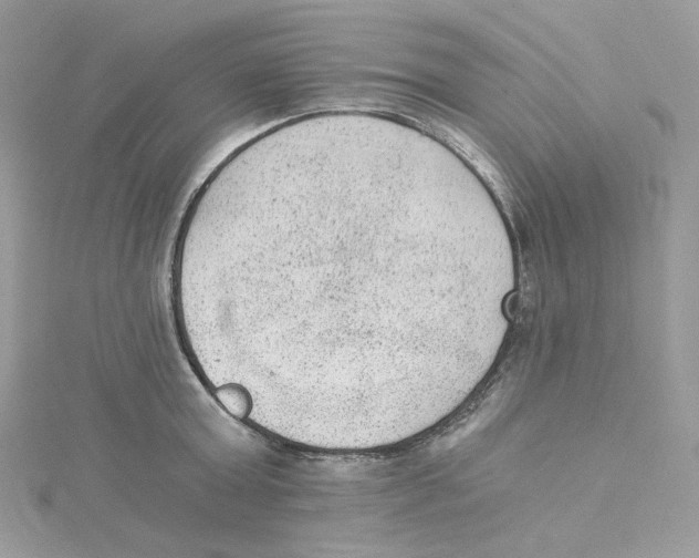 X0000114520803200911161315