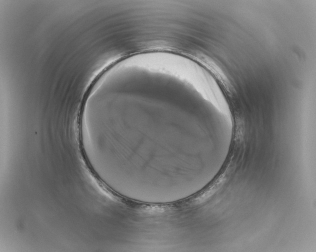 X0000114520806200911161315