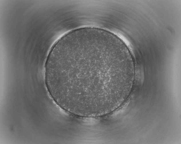 X0000114520807200911161315