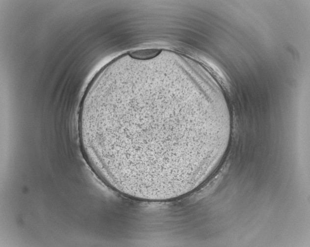 X0000114520808200911161315