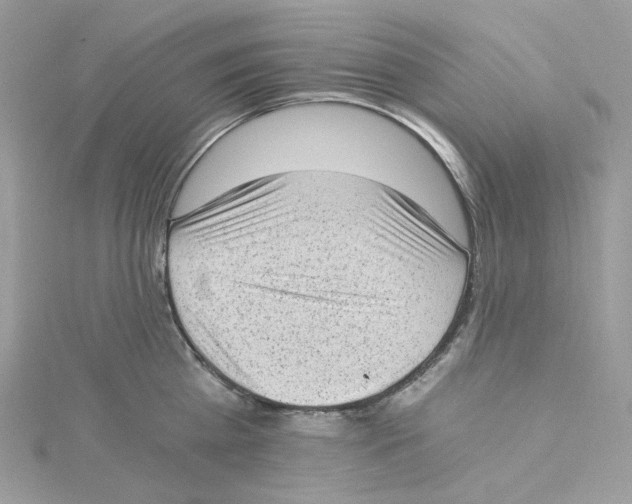 X0000114520809200911161315