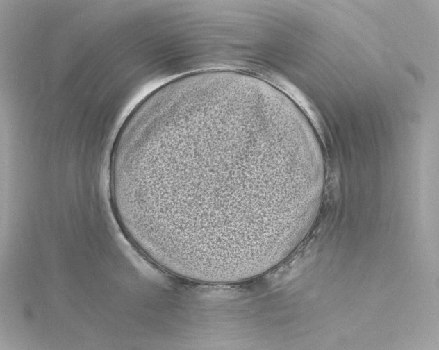 X0000114520811200911161315