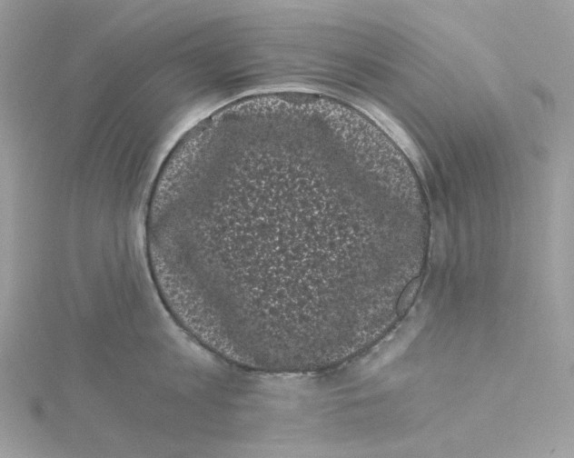 X0000114520813200911161315