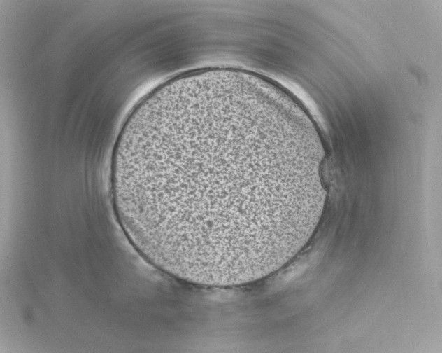 X0000114520815200911161315