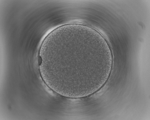 X0000114520816200911161315