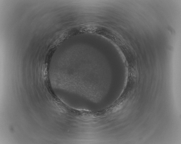 X0000114520818200911161314