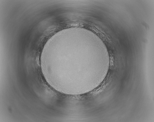 X0000114520820200911161314