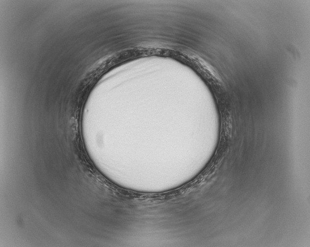 X0000114520821200911161314