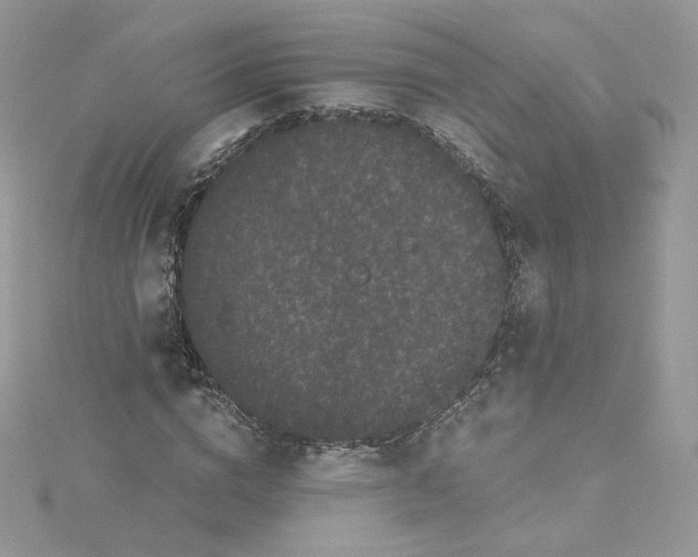 X0000114520824200911161314