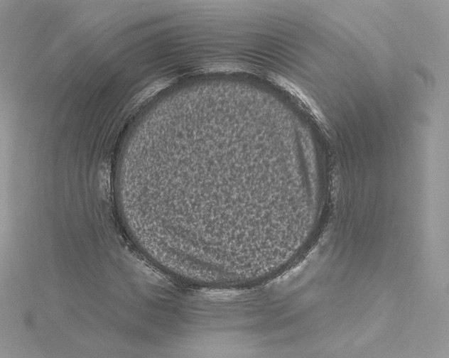 X0000114520825200911161314