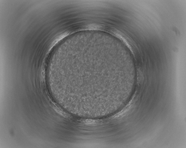 X0000114520827200911161314