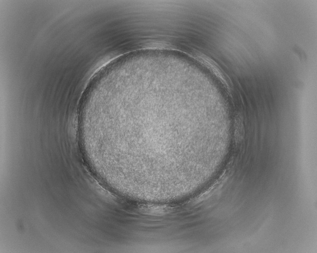 X0000114520831200911161314