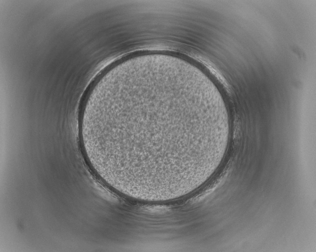 X0000114520837200911161315