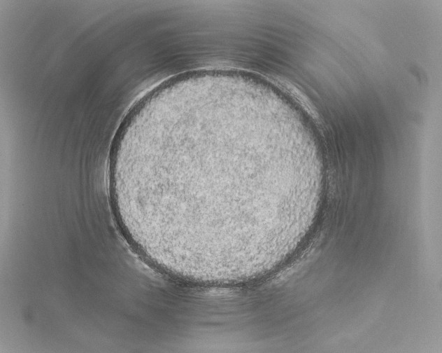 X0000114520839200911161315