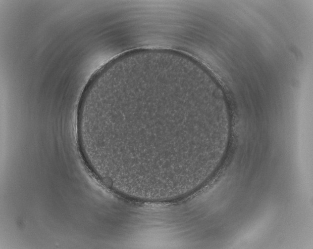 X0000114520840200911161315