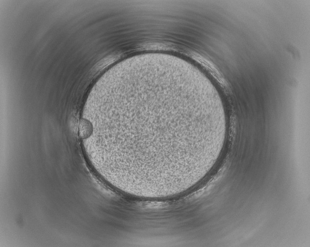 X0000114520841200911161315