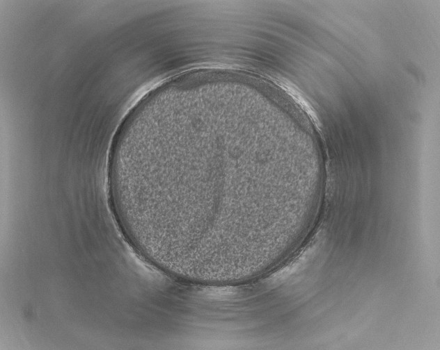 X0000114520845200911161315