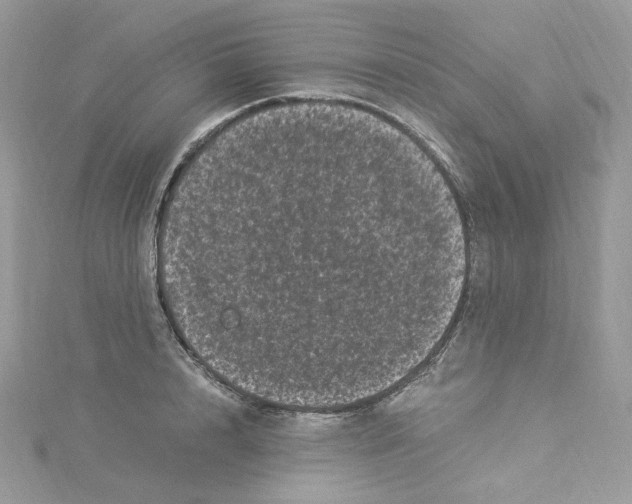 X0000114520848200911161315