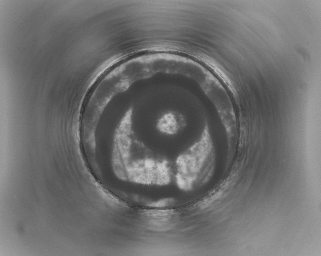 X0000114520853200911161315