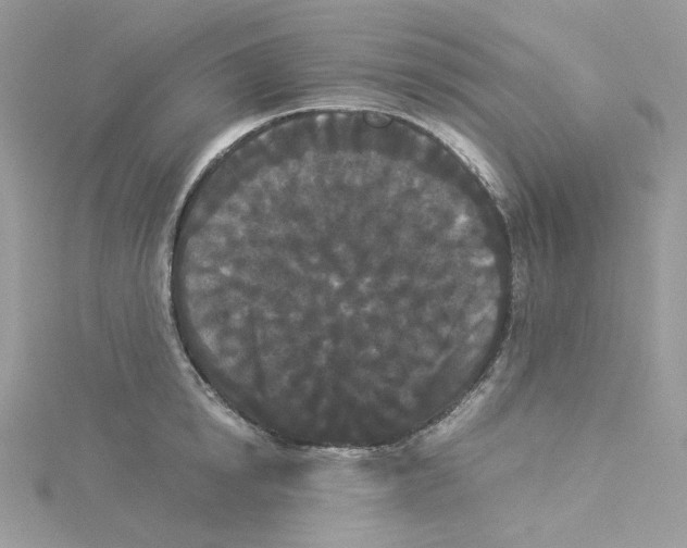 X0000114520854200911161315