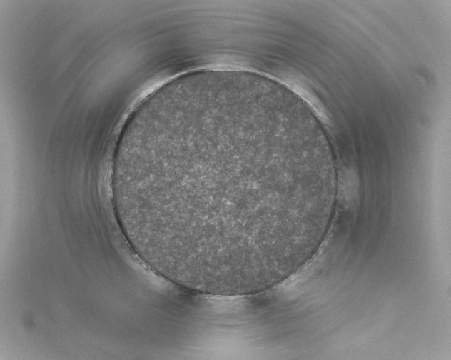 X0000114520856200911161315