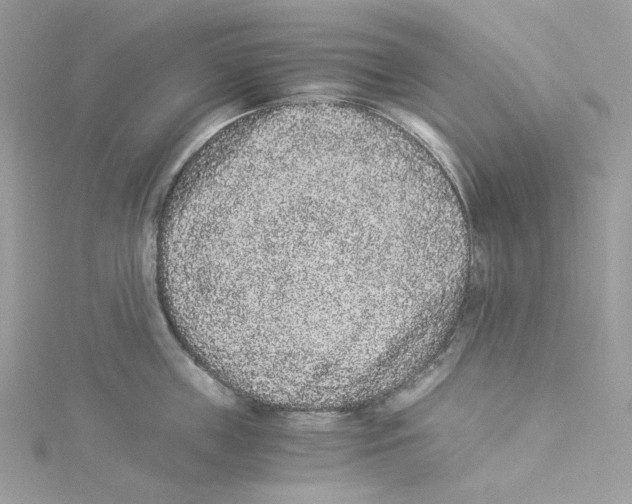 X0000114520859200911161315