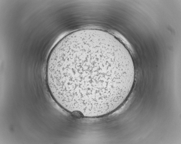 X0000114520860200911161315