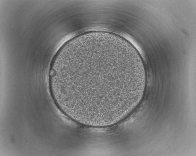 X0000114520861200911161315