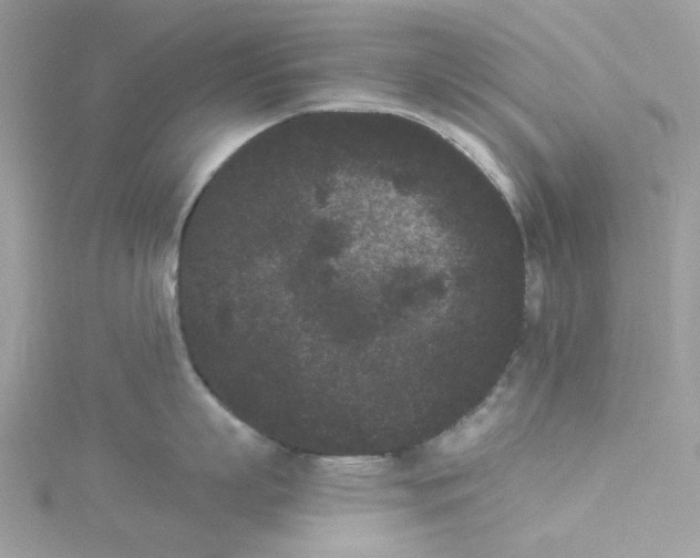 X0000114520863200911161315