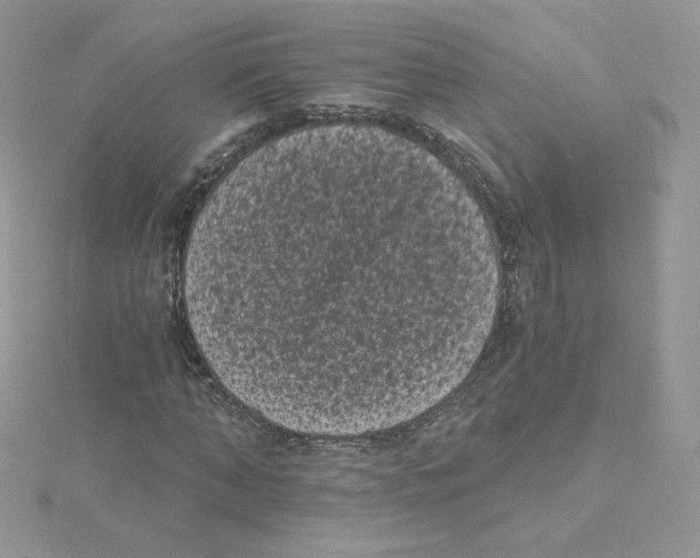 X0000114520870200911161314