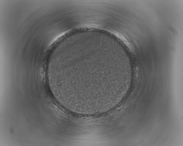 X0000114520872200911161314