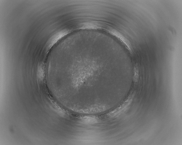 X0000114520874200911161314