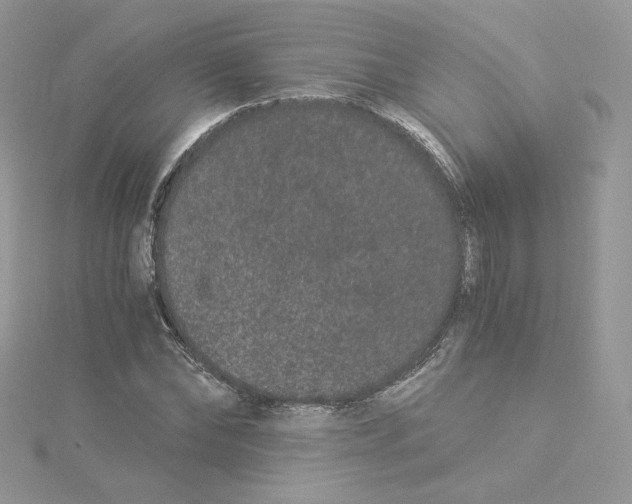 X0000114520878200911161314