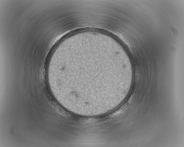 X0000114520879200911161314