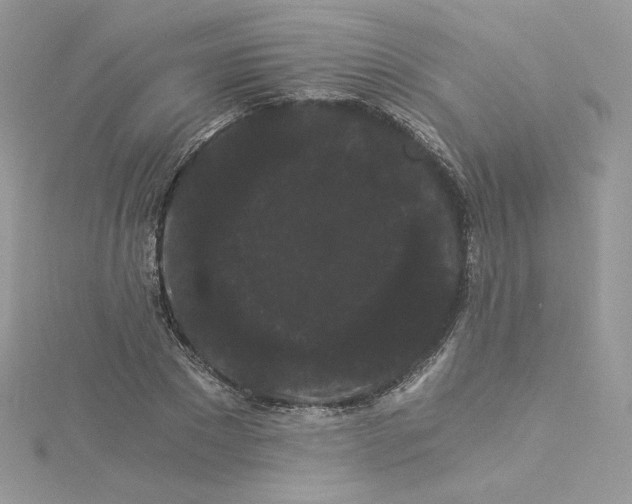 X0000114520881200911161314