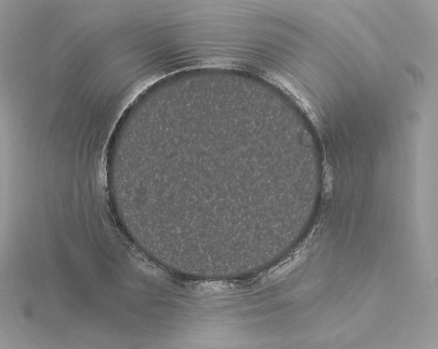 X0000114520883200911161314