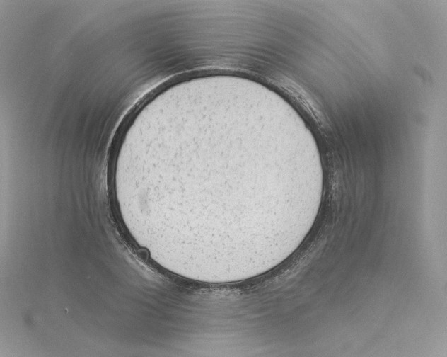 X0000114520884200911161314